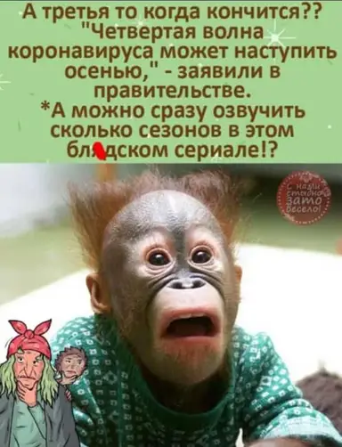Monkeyfghhjbgvgg566