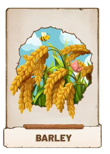 Barley